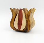 Tulip bandsaw box by Taya