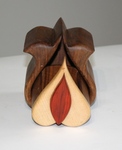 Tulip shaped bandsaw box