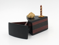 Cake bandsaw box by Taya